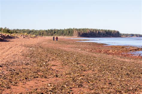 jacques cartier provincial park.